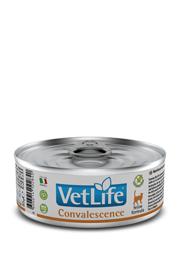 VETLIFE ΓΑΤΑΣ CONVALESCENCE 85GR