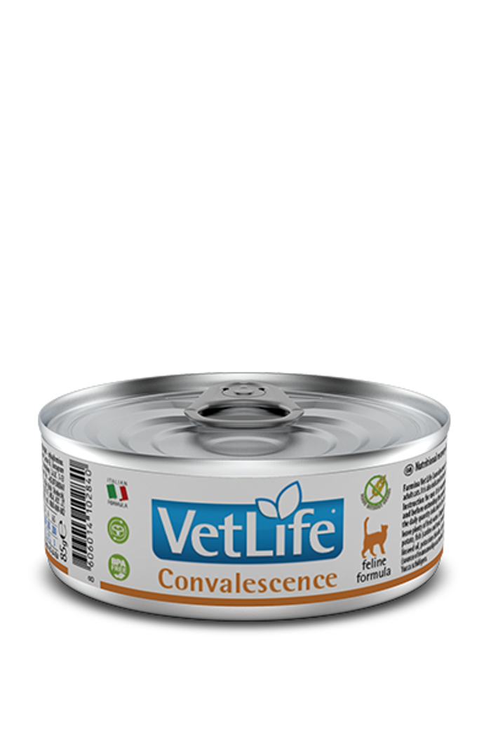 VETLIFE GTAS CONVALESCENCE 85GR