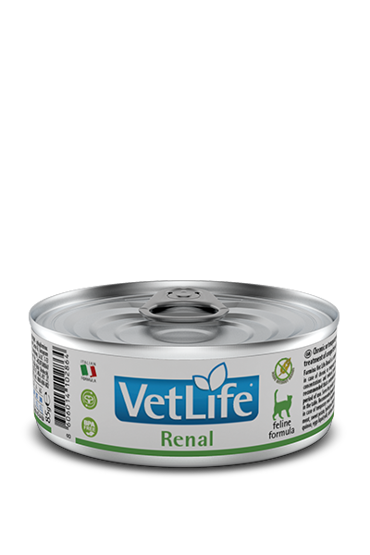 VETLIFE ΓΑΤΑΣ RENAL 85GR