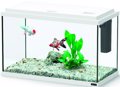 ENuDREIO FUNNY FISH 40 LEuKO