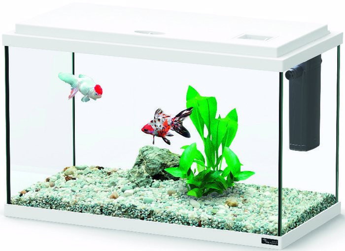 ENuDREIO FUNNY FISH 40 LEuKO