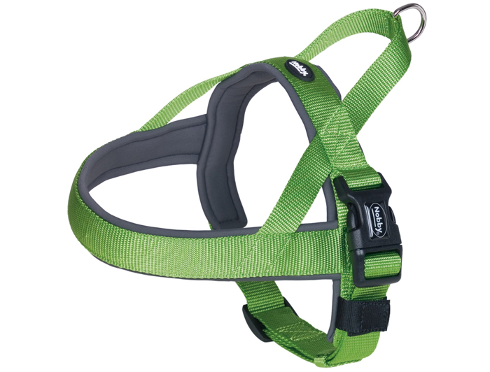 NORBIGKO EPISTIThIO CLASSIC GREEN L-XL
