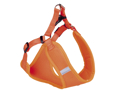ANATOMIKO EPISTIThIO ORANGE S