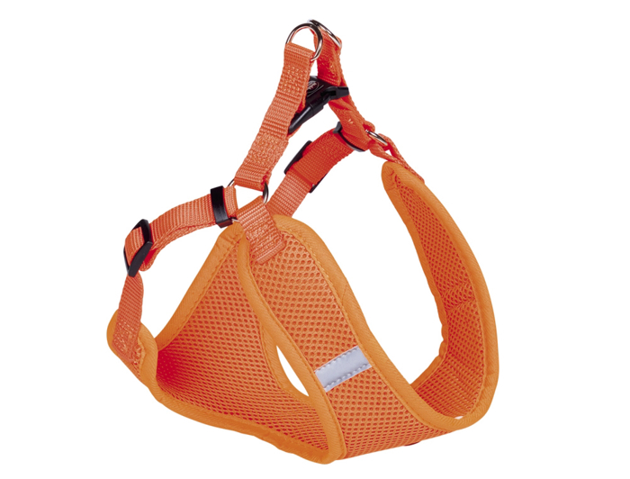 ANATOMIKO EPISTIThIO ORANGE S