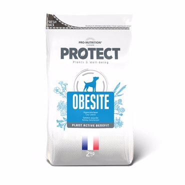 PROTECT DOG OBESITE 2KG ΚΛΙΝΙΚΗ ΞΗΡΑ ΤΡΟΦΗ ΓΙΑ ΣΚΥΛΟΥΣ