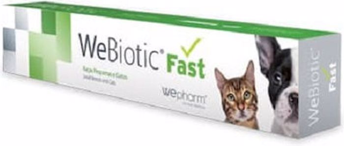 Wepharm WeBiotic Fast Sumpliroma Diatrofis  Probiotika Skulou Kai Gtas se Pasta 15ml