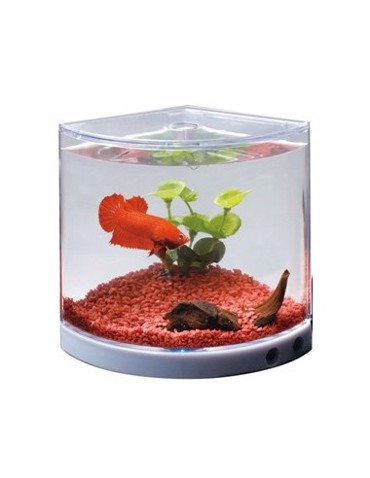 DoPhin Mini Betta Ενυδρείο για Μονομάχους 1.2lt 