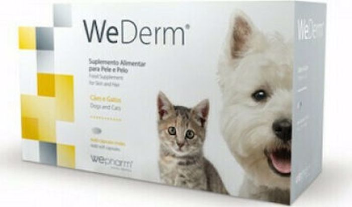 Wepharm WeDerm Sumpliroma Diatrofis Skulou & Gtas se 60 Malakes Kapsoules  
