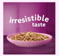 Whiskas Junior Zele Kotopoulo ugi Trofi ga Gtakia 85g