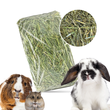 Bubu Pets Φυσικό Χόρτο Τρωκτικών Ά Ποιότητας 800g