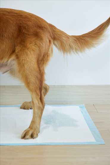 Unimis Επιδαπέδιες Πάνες για Σκύλους και Γάτες 60Χ90cm(10τμχ)