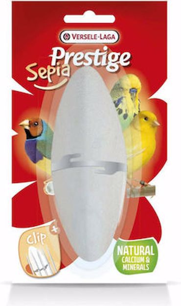 Versele Laga Σουπιοκόκκαλο Βιταμίνη για Καναρίνια και Παπαγαλάκια 12cm